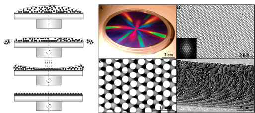 Schematic outline of crystallization and fabrication results（removal of polymer) by spin-coating method[118(좌), 114(우)