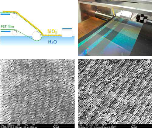 롤투롤 기법으로 제작하는 모식도 및 제작된 결과와 SEM 사진