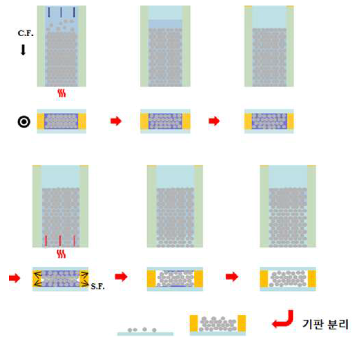 기판을 분리하는 과정에서 발생하는 결함의 원인