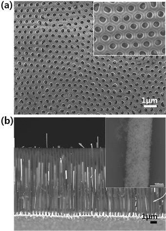Dealloying법을 통해 AAO 템플레이트 내부에 형성된 다공성 Pt전극의 (a) 표면 및 (b) 단면 주사전자현미경(SEM) 이미지 (inset: 고배율 이미지)