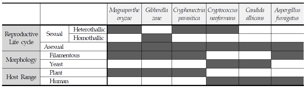 우리 센터가 선정한 6개 병원성 곰팡이의 분화, 형태, 및 기주/숙주의 특성