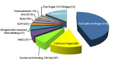 붉음곰팡이의 709개 전사조절인자의 nucleic acid binding domains에 따른 분류