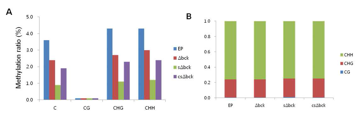 cytosine sequence text ( CG, CHG and CHH; where H is A, T or C) 전부를 포함한 genome bisulfite sequencing data (A). 각 균주간 cytosine sequence text의 methylation 비율(B).