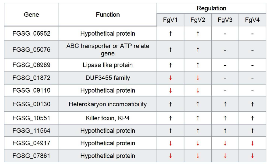 RNA sequencing 으로 확인된 바이러스 감염시 발현이 조절되는 기주 유전자들의 선발.