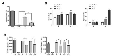 M. abscessus 병원성과 대식세포의 사멸 효과 분석