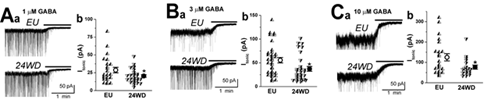 산화환원조절단백-1의 GABA 신경연접 전류 조절조사