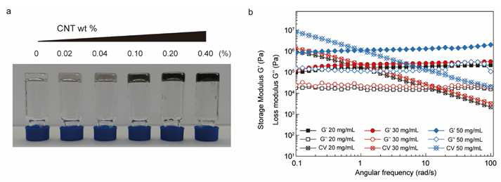 탄소나노튜브 조성에 따른 하이드로젤의 형성 모습 (좌) 와 그에 따른 하이드로젤의 특성 관찰 (우)