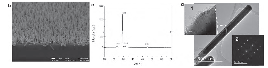 CVD 그래핀 위에 성장된 ZnO 나노로드 FE-SEM 이미지, XRD 그리고 HR-TEM