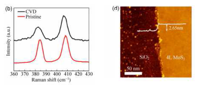 좌: CVD로 성장된 MoS2의 라만 스펙트라, 우: AFM 이미지
