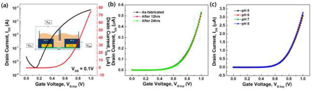 CVD 성장된 MoS2 전계효과 트랜지스터의 전기적 특성
