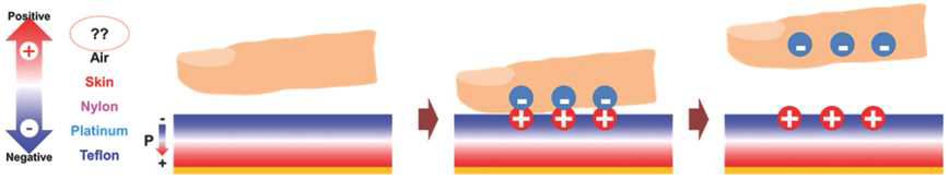 Poling된 P(VDF-TrFE)와 skin을 마찰시켰을 때 대전되는 surface potential