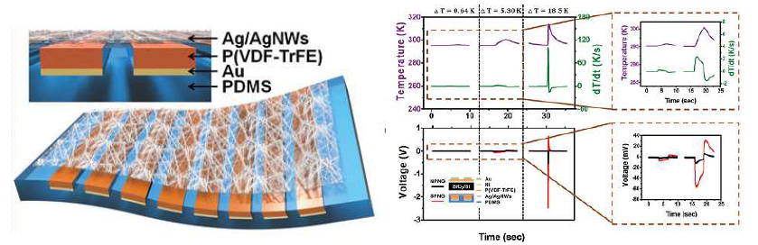 Micropatterned P(VDF-TrFE), PDMS로 제작한 유연한 열전소자