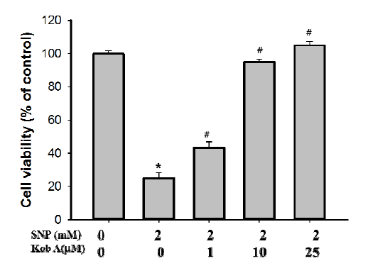 SNP에 의한 심근세포(H9c2 세포)의 사멸과 kobophenol A에 의한 세포사멸 보호