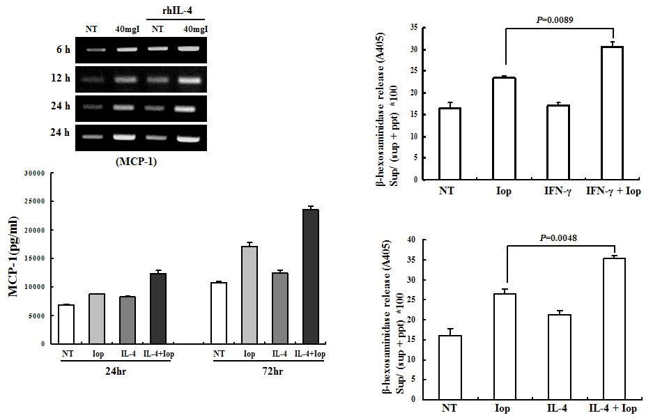 MCP-1 expression by Iopromide in HMC-1 cells