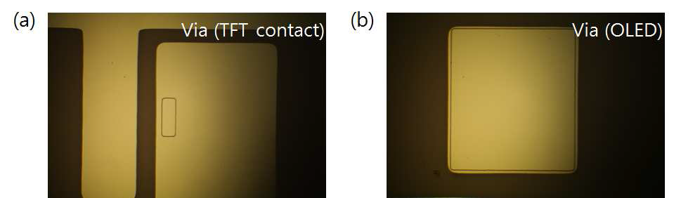 (a) 구동 TFT 게이트 부분의 Via hole, (b) OLED 발광부 Via hole의 현미경 사진