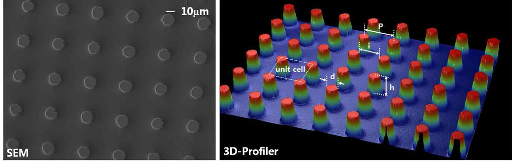 전계방출전자현미경(FE-SEM) 및 3차원 프로파일러(3D-Profiler)를 이용한 마이크로 구조 지형적 형태 측정