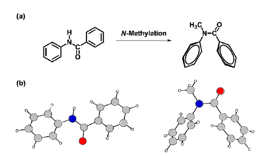 (a) Benzanilide의 N-메틸레이션에의한 trans에서 cis로의 형태 바뀜32 (b) Benzanilides의 결정 구조 (왼쪽) N-Methylated benzanilides의 결정 구조 (오른쪽).