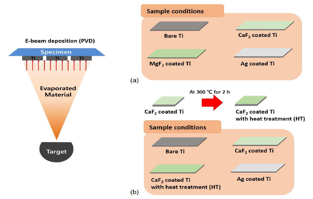 전자빔 증착을 통한 다양한 티타늄 코팅층 제작 모식도