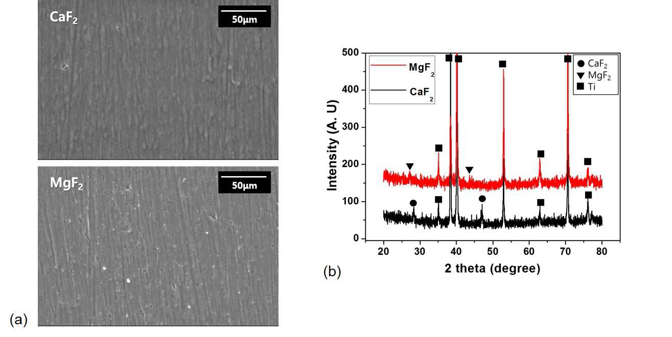 (a) 불화칼슘과 불화마그네슘 코팅층의 표면 구조와 (b) 각 코팅층의 XRD 데이터