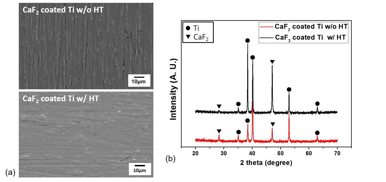 (a) 열처리 조건에 따른 불화칼슘 코팅층의 표면 구조와 (b) 각 코팅층의 XRD 데이터