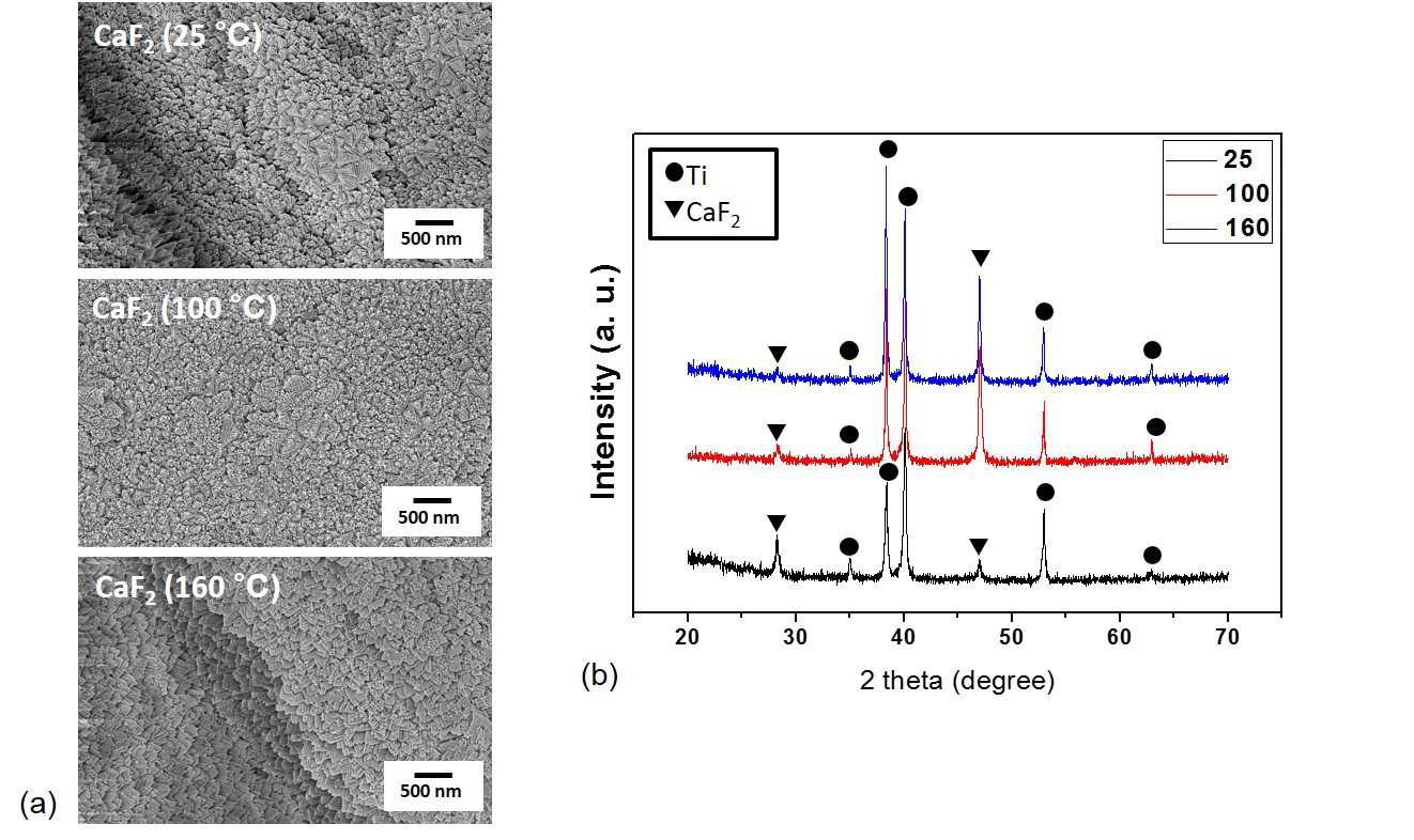 (a) 열처리 조건에 따른 불화칼슘 코팅층의 표면 구조와 (b) 각 코팅층의 XRD 데이터