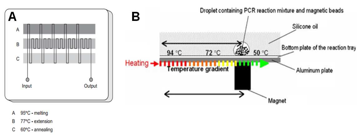 Thermal block의 낮은 ramping rate을 극복하기 위해 고안된 미세유체 칩: (A) Continuous flow through chip (26), (B) Oil 속의 droplet을 이동시켜 PCR에 응용한 chip (27).