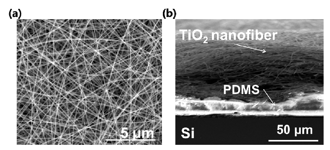 실리콘 기판위에 고정된 TiO2 나노섬유의 표면과 단면 SEM 이미지