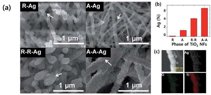 (a) Ag가 증착된 결정 별 TiO2 nanofiber의 미세구조를 관찰한 전자 주사 현미경 이미지, (b) TiO2 nanofiber에 증착된 Ag 나노입자의 비율을 나타낸 그래프. (c) Ag, O, Ti의 균일한 분포를 보여주는 전자투과현미경 및 EDS분석결과