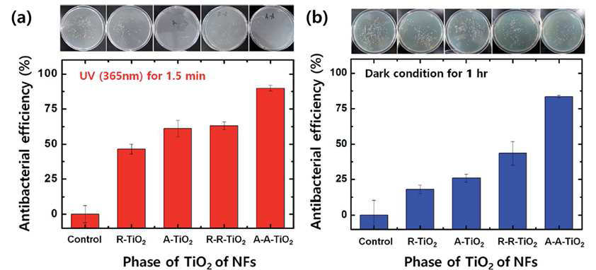 제작된 나노 물질의 antibacterial 효과를 평가한 그래프. (a) 자외선을 90초간 조사하였을 경우 TiO2 nanofiber의 antibacterial 효과를 결정 및 구조적 특성별로 나타낸 그래프, (b) 외부 광원이 없는 dark condition환경에서의 Ag 나노입자가 증착된 TiO2 nanofiber의 antibacterial 효과를 보여준 그래프.