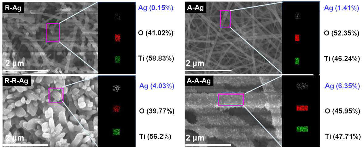 R, A, R-R, A-A구조를 가진 TiO2 nanofiber 상에 증착된 Ag 나노입자를 전자주사현미경을 이용한 표면 이미지 및 EDS를 이용한 정량화 사진.