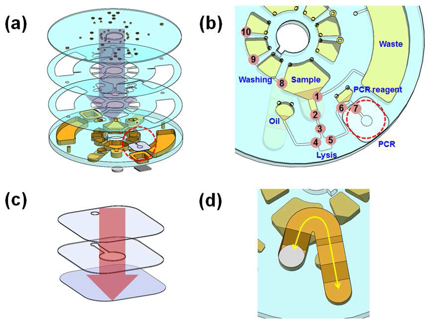 (a) 디스크의 모든 파트를 보여 주는 모식도, (b) 분자 진단 전 과정이 일체화 된 디스크의 세부 디자인, (c) hot embossing를 활용하여 접합되는 PCR chamber 의 모식도 및 (d) 자성 비드 조작을 위해 설치 된 디스크 뒷면의 자석 이동 채널.