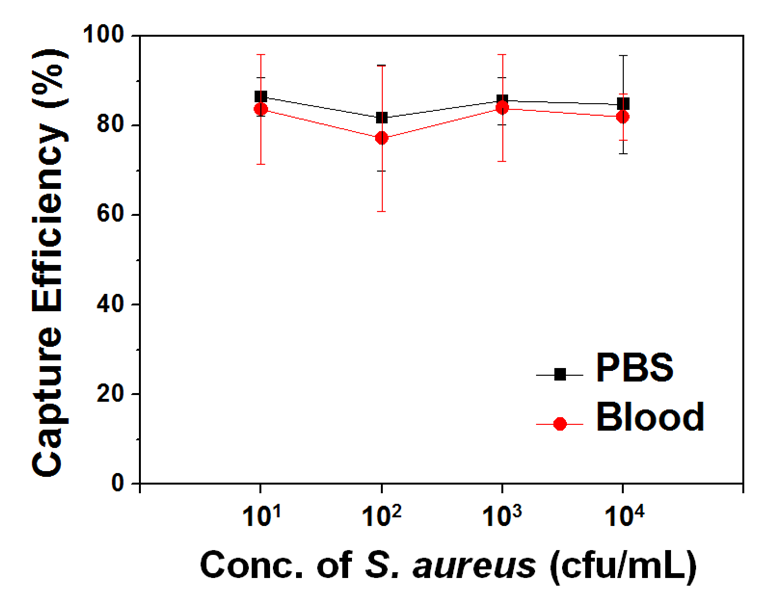 Anti-staphylococcus aureus 항체가 표면에 고정화 된 자성 비드를 활용하여 각종 샘플에서 선택적으로 staphylococcus aureus 포획시의 효율을 보여 주는 그래프