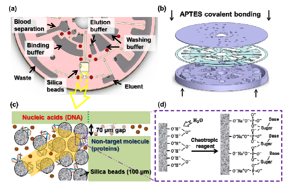 (a) 핵산 정제 전 과정이 일체환 된 lab-on-a-disc 디자인, (b) 본 연구팀이 개발한 IPA, Ethanol resistive bonding (APTES bonding), (c-d) Bonding layer gap을 이용한 핵산 흡착 매개체 (Glass, Silica beads) 디스크 내 일체화 묘사.