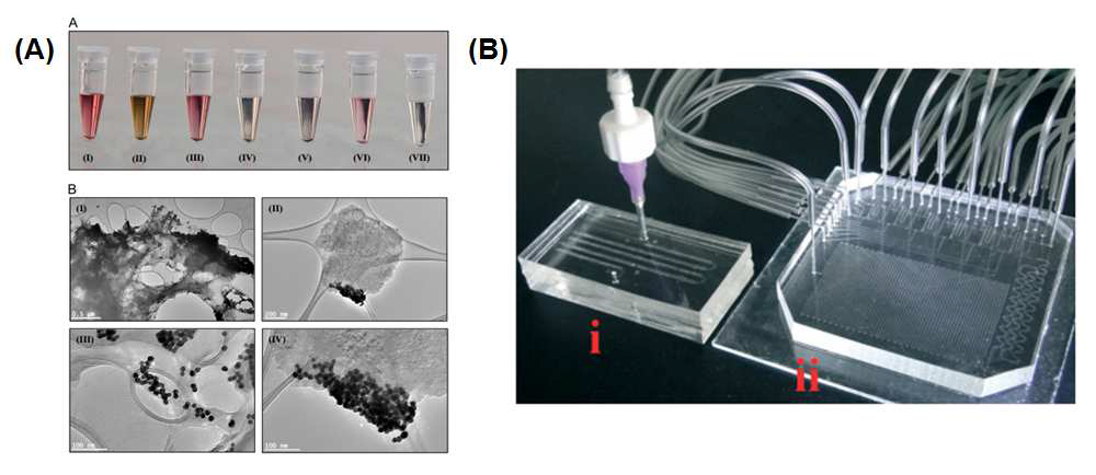 (A) 탄소나노재료중 하나인 그래핀을 활용하여 DNA 검출에 활용한 연구 사례, (35) (B) 미세유체칩을 활용한 PCR을 활용하여 부유세균을 검출한 연구사례. (37)