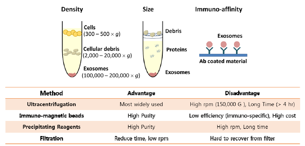 나노 소포체를 분리하는 원리 및 방법. 주로 밀도, 크기, immuno-affinity 기반의 분리법이 사용되고 있음.