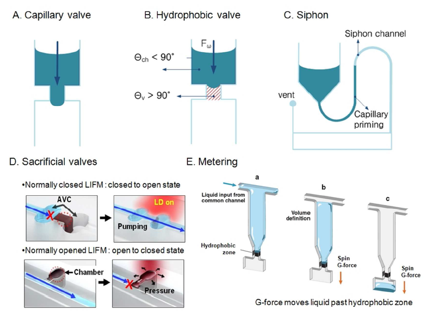 Lab-on-a-dic에서 주로 사용되는 밸브 구조 (A) capillary valve, (B) hydrophobic valve, (C) Siphon valve, (D) Sacrificial valve 와 (E) Lab-on-a-disc에서 spin만으로 원하는 volume을 metering하는 것을 보여주는 개념도 (a) 액체가 채워지지만, 회전 속도가 낮아서 소수성 처리된 밸브 영역을 넘어가지 못함. (b) 회전을 하면 위에 있는 채널을 통하여 excess 용액을 빠져 나가 waste chamber로 빠짐, (c) 고속으로 회전하면 정량된 액체가 다음 챔버로 넘어감.