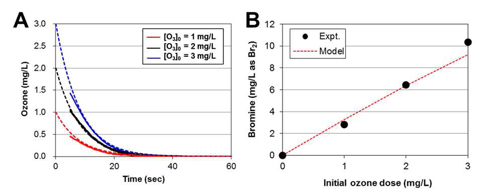 오존 농도에 따른 오존 분해(A)와 브로민 생성(B)