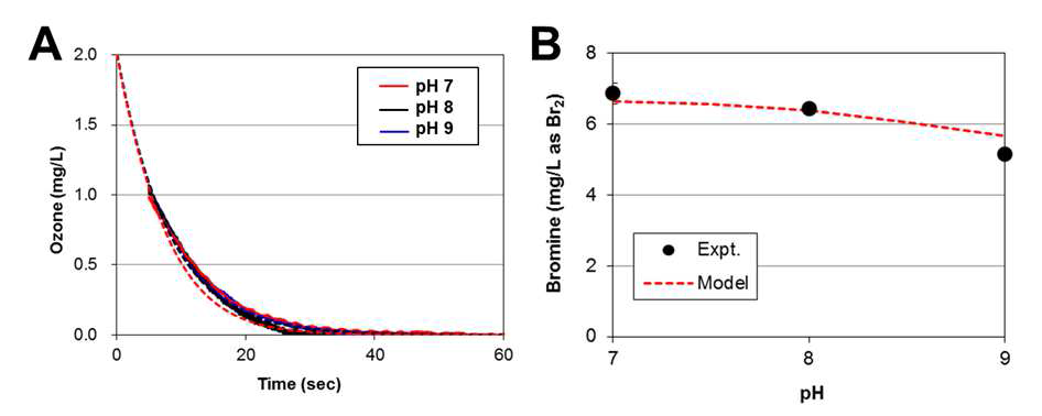 pH에 따른 오존 분해(A)와 브로민 생성(B)
