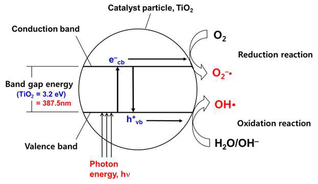 UV/TiO2 공정 메커니즘