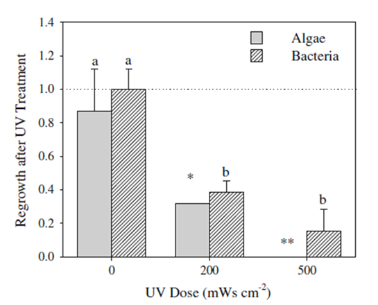 자외선 조사량에 따른 Algae와 박테리아의 재성장 비교 (by Matthew et. al.)