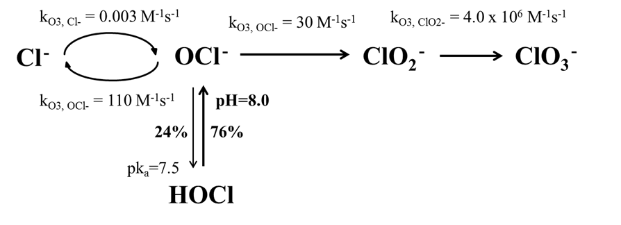 오존공정에서 염소이온으로부터 염소산염의 생성 메커니즘