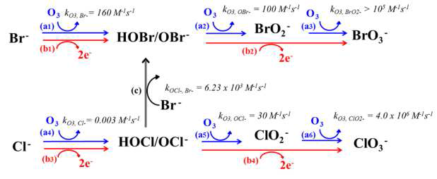 오존/전기분해 혼합공정에서 브롬산염과 염소산염의 생성 메커니즘