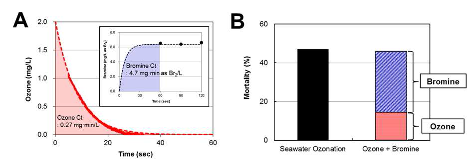 해수 오존공정에서 A. salina의 사멸율 평가