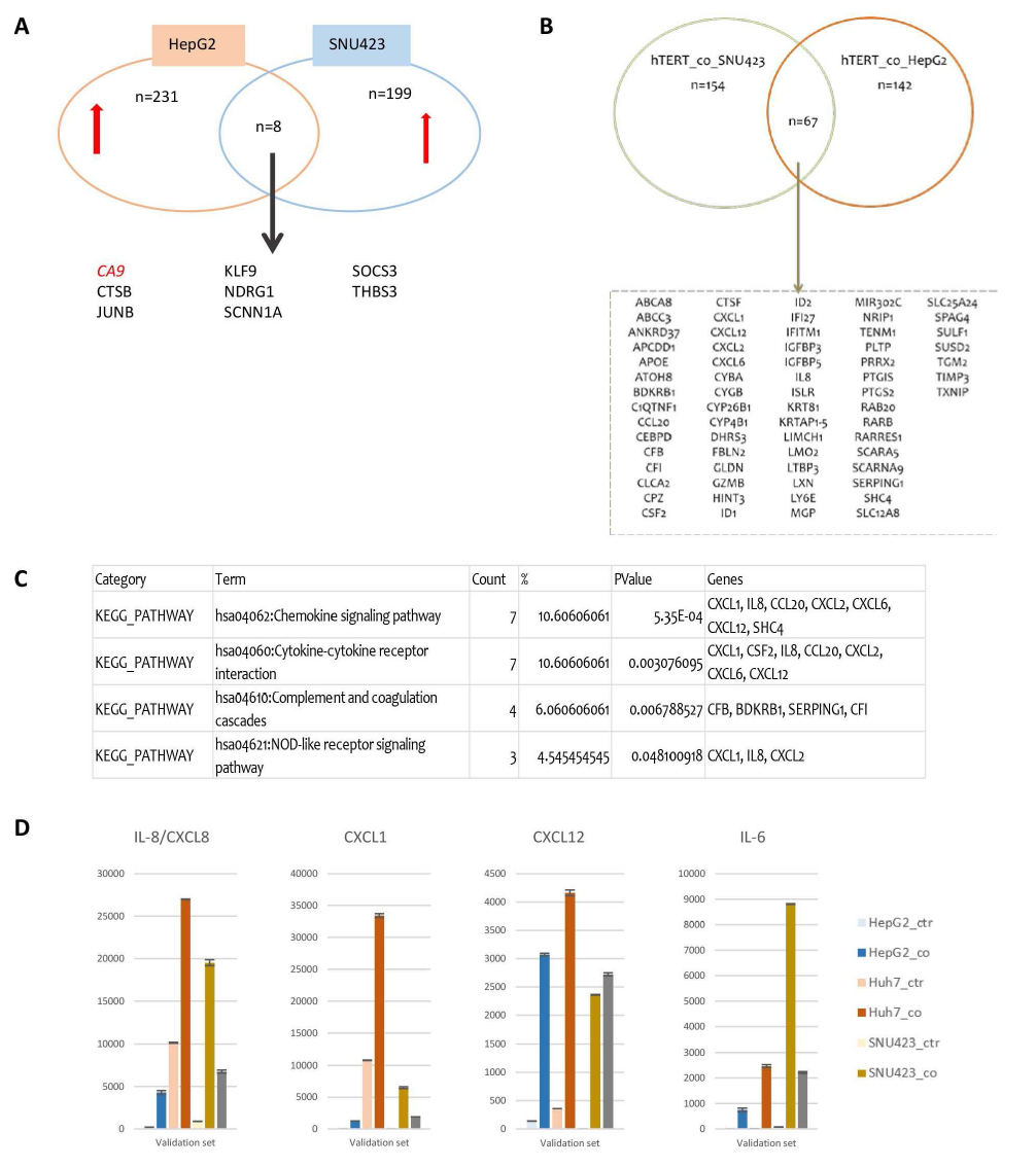 Co-culture시 gene expression 변화 및 co-cultur media에서 paracrine factor의 농도 변화