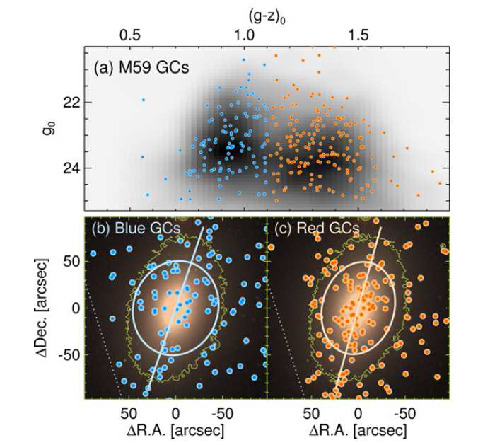 처녀자리 은하단에 있는 타원은하 M54의 구상 성단 색등급도 (a)와 공간분포 (b: 푸른 구상성단, c: 붉은 구상성단).