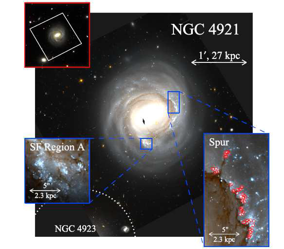 허블우주망원경/ACS로 관측하여 얻은 NGC 4921의 사진.