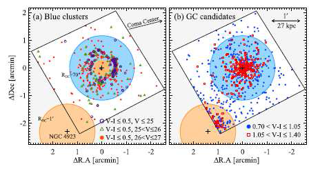 NGC 4921에 있는 푸른 성단(a)과 구상 성단(b)의 공간 분포.