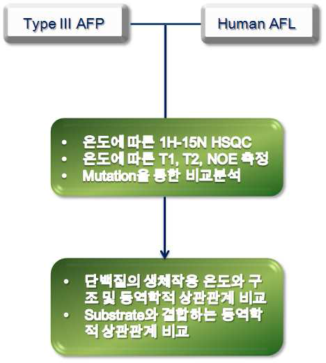 Type III AFP와 AFL domain의 실험 모식도