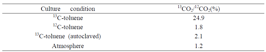 대전 질산염 환원 조건에서 배양 후 13CO2/12CO2값