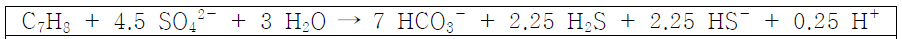 혐기성 toluene 분해 stoichoimetry